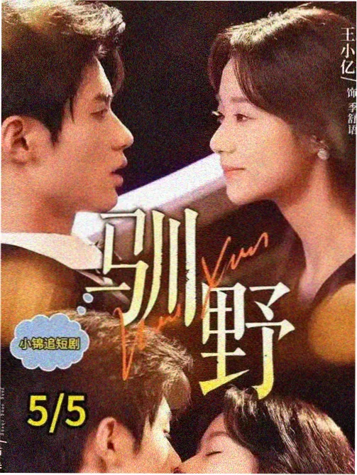 丽宫影视访谈实录推荐封面
